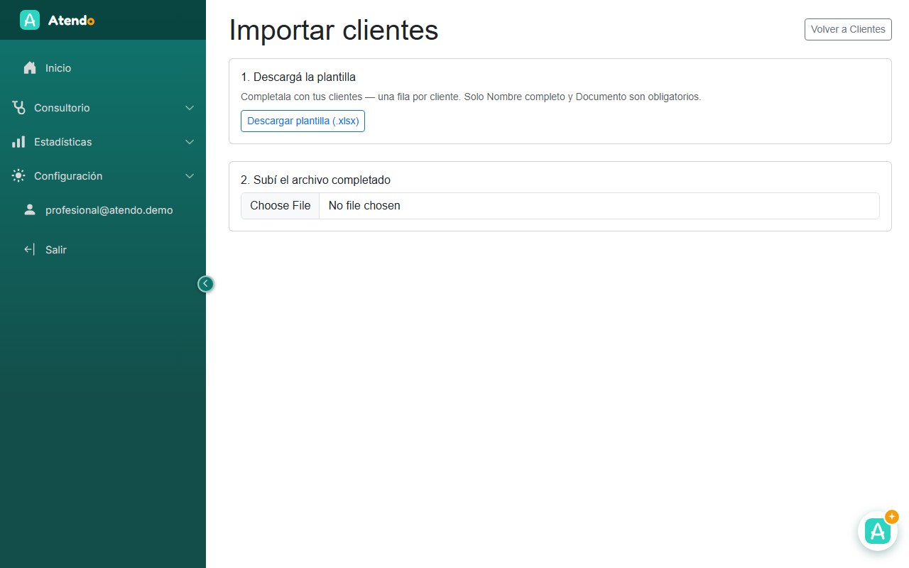 Importación masiva de pacientes desde Excel